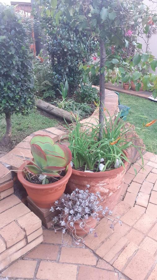 Stunning Bnb In Gorgeous Garden Setting Germiston Exterior photo